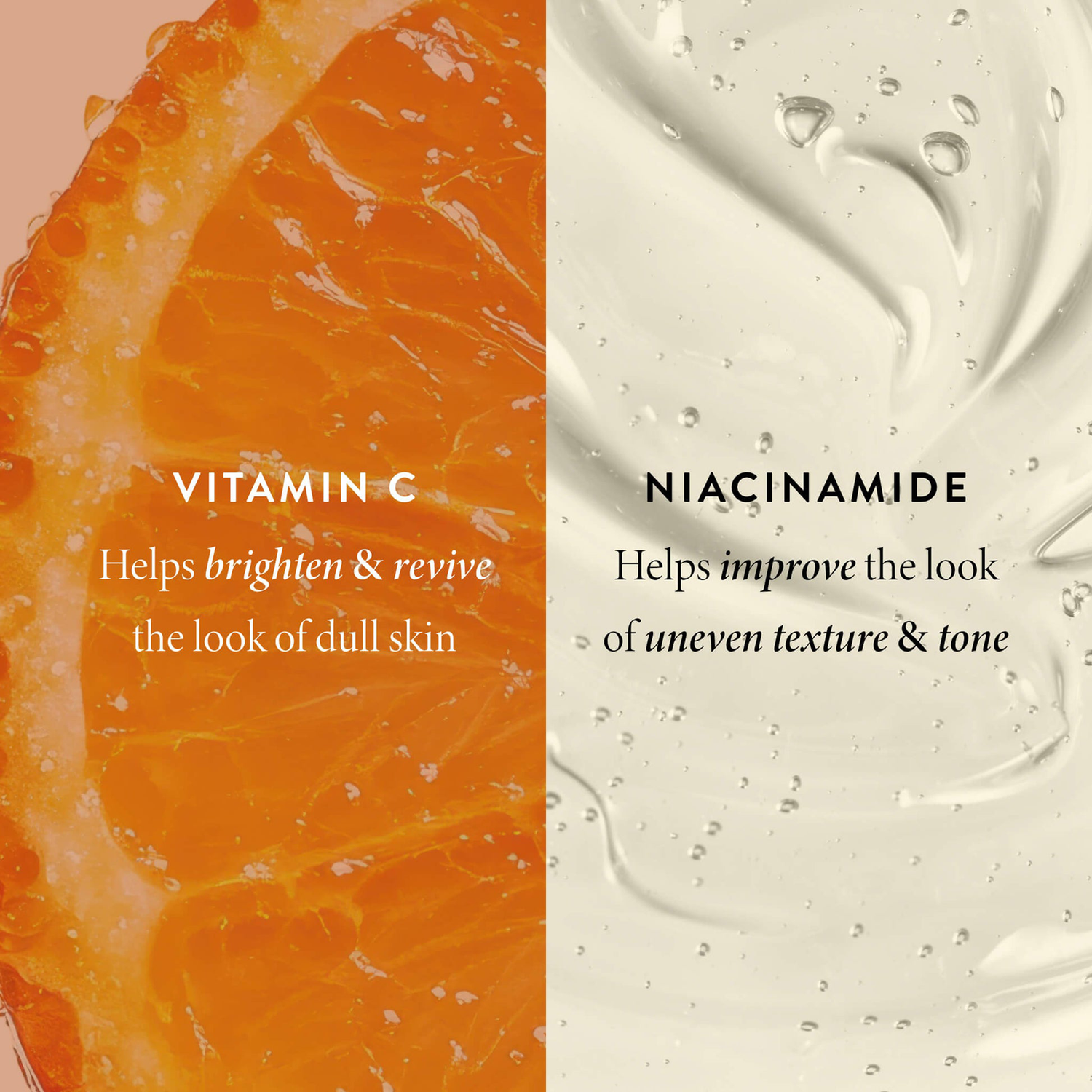 p00008 5c7ee7e4 559e 46e4 a43e 2a4fab42d2bc